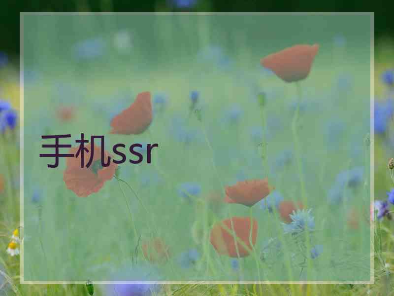 手机ssr