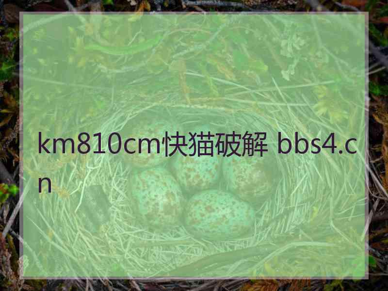 km810cm快猫破解 bbs4.cn