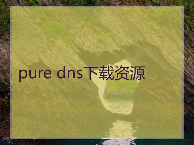 pure dns下载资源